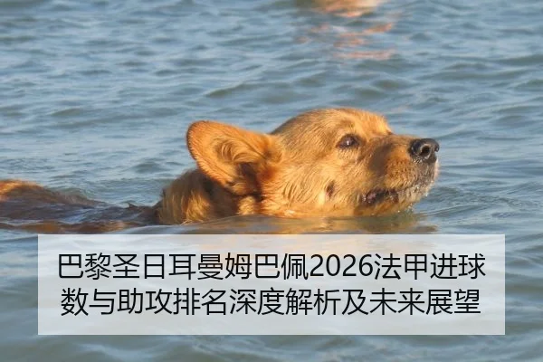 巴黎圣日耳曼姆巴佩2026法甲进球数与助攻排名深度解析及未来展望
